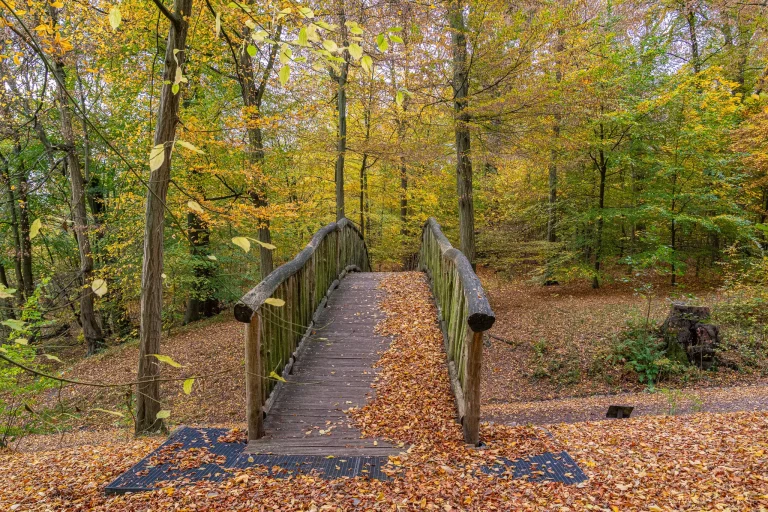 Knüppelbrücke im Jenisch Park